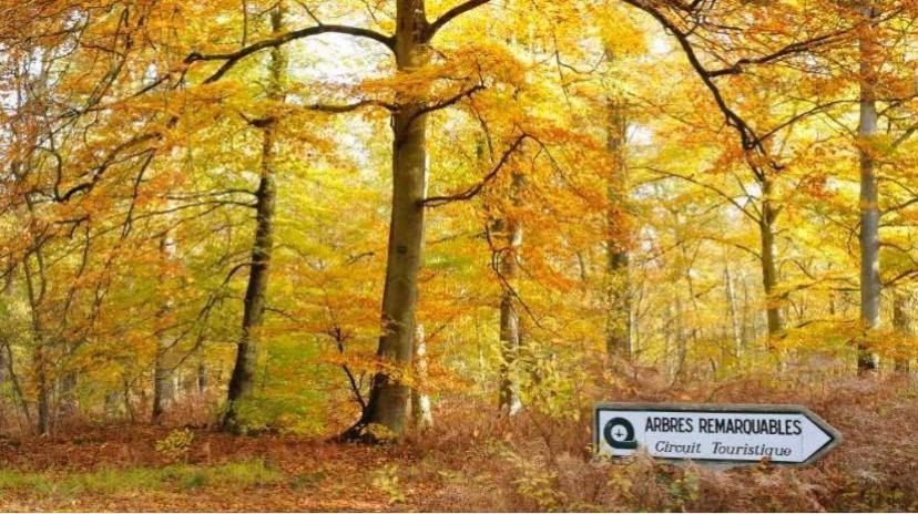 Gite La Bancloque Compiegne Bagian luar foto